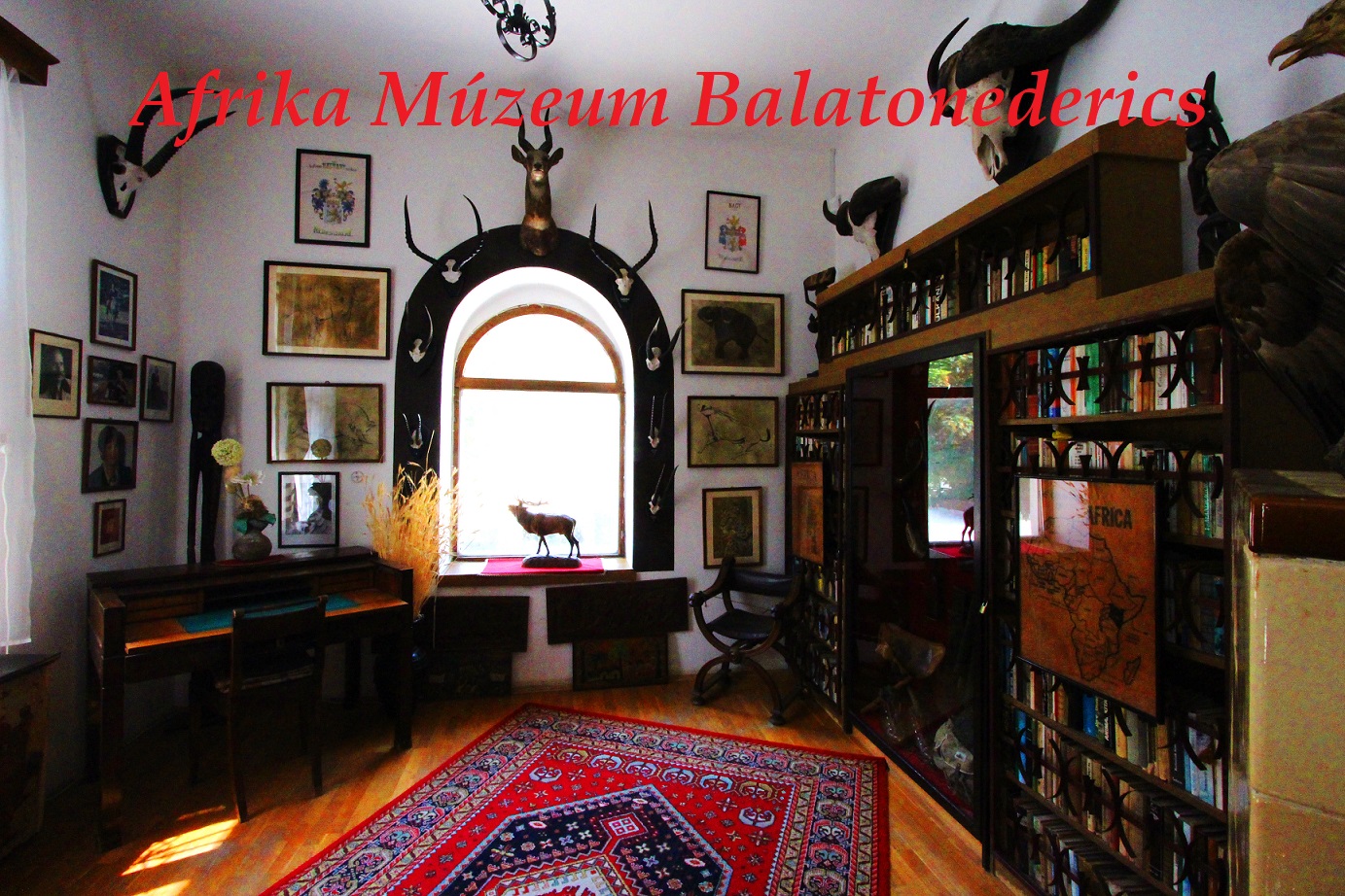 0afrika múzeum